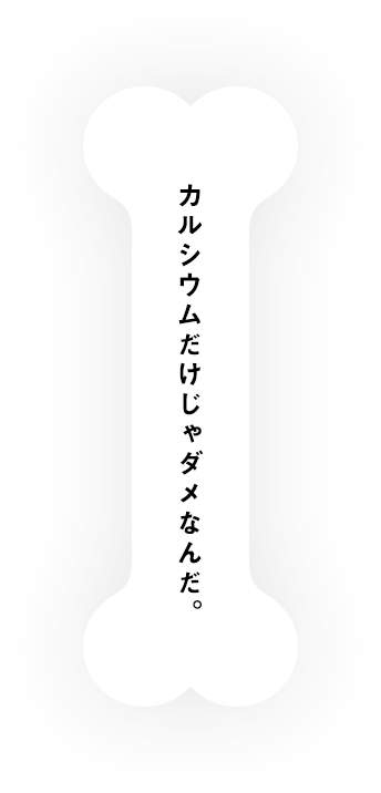 カルシウムだけじゃダメなんだ。